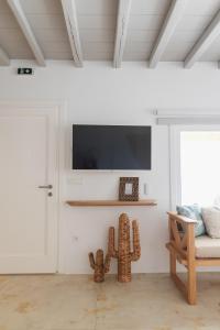a living room with a tv and a cactus at Birdhouse Private Luxury Villa in Agios Ioannis Mykonos