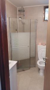 a bathroom with a shower and a toilet at Little Hula in Yesod Hamaala +8 photos