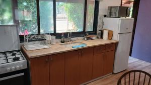 a kitchen with a sink and a refrigerator at Little Hula in Yesod Hamaala