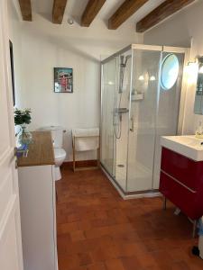 a bathroom with a shower and a toilet and a sink at La Bernache Solognote in Viglain +15 photos