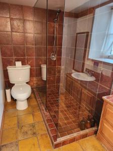 a bathroom with a toilet and a shower and a sink at Triangle de l'île Chambre Familiale in Saint-Laurent-de-l'ile d'Orleans