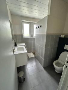 a bathroom with a toilet and a sink at Maison avec jardin in Crozon