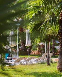 a group of lounge chairs and umbrellas in the grass at Rana E Hedhun Llugani Apartments in Lezhë
