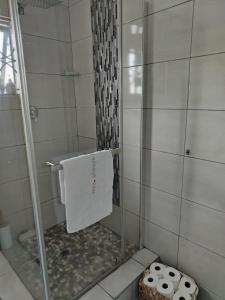 a bathroom with a shower with a glass door at Eluthando Guesthouse in St Lucia +24 photos