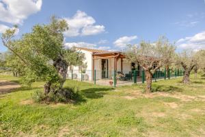 a house in the middle of a field with trees at S'istella suite in Olbia