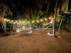 a hammock hanging from a palm tree with lights at Precioso chalet en Telchac Puerto in Telchac Puerto