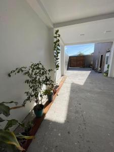 a hallway with potted plants in a house at Casa & Habitaciones in Mejillones