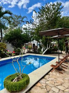 a swimming pool with a bonsai tree and an umbrella at La Casa de las Lunas in Chichén-Itzá
