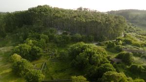 an aerial view of a hill with trees at Casa Magenta - Alojamento Local in Trofa