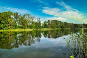 a view of a lake with trees on the shore at Glamping Nest Mecklenburger Seenplatte in Penzlin +10 photos