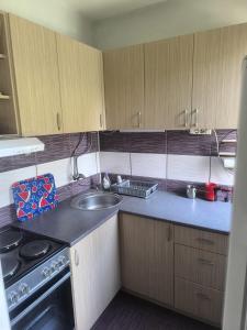 a small kitchen with a sink and a stove at Apartman Točaković in Kladovo