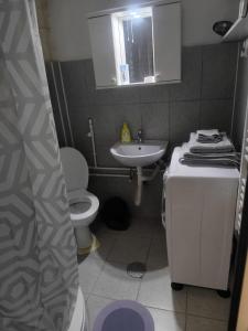 a bathroom with a toilet and a sink at Apartman Točaković in Kladovo +5 photos