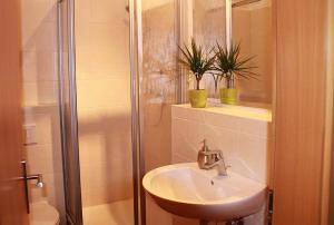 a bathroom with a sink and a shower at Deutsches Haus Apartments in Lohme