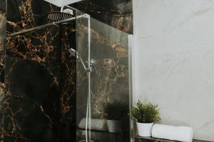 a shower with a glass door in a bathroom at Złota Brama - Old Town Apartment 1 in Gdańsk +26 photos