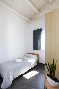 a bedroom with a bed and a potted plant at A due passi da in Corato