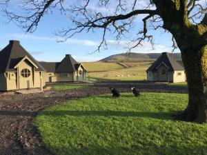 three cats sitting in the grass in front of houses at Scald Law Cabin in Kirknewton