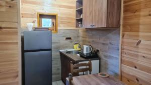 a kitchen with a refrigerator and a wooden wall at Livaditsa Kremna in Kremna