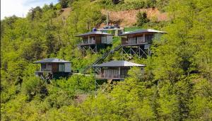 a group of houses on the side of a hill at Alaçam Tatil Evleri in Trabzon