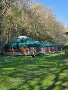 a group of tents in a field with trees at Yourte in Les Hogues