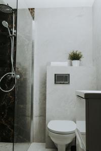 a bathroom with a toilet and a shower at Złota Brama - Old Town Apartament 2 in Gdańsk +26 photos