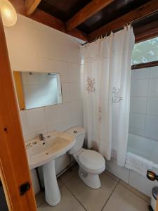 a bathroom with a toilet and a sink and a mirror at Hostal Chikiyan in San José de Maipo +52 photos