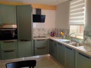 a kitchen with green cabinets and a sink at La petite maison in Marchampt