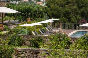 a row of white umbrellas and chairs next to a pool at Hotel Paço de Vitorino in Ponte de Lima