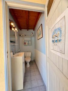 a bathroom with a toilet and a sink at La cabane les pieds dans l'eau, accès direct au lac d'Annecy in Doussard