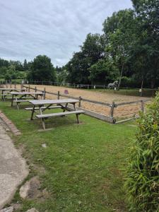 a row of picnic tables in a field at Gite équestre in Les Hogues