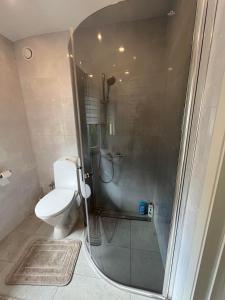 a bathroom with a shower and a toilet in it at Melnragė Dunes Apartment in Melnragė +20 photos