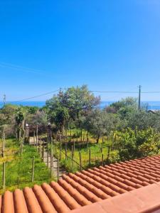 a view of a garden from the roof of a house at Casa vacanze a Roccella Jonica in Roccella Ionica