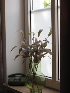 a vase with flowers sitting on a table next to a window at Idylle Apartments - Suite Kaisergrün in Bad Ems