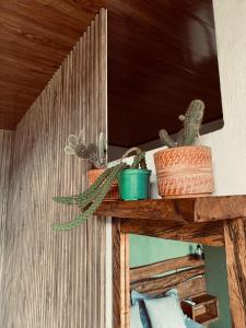 two plants on a wooden shelf in a room at Palmar el descanso bruma del balsal in Villeta
