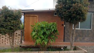 a brick house with a wooden door and two trees at Hospedaje Carigan in Loja