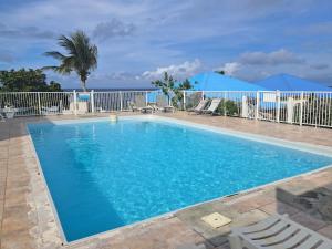 a large blue swimming pool with chairs and the ocean at Villa JAUNE in Oyster Pond