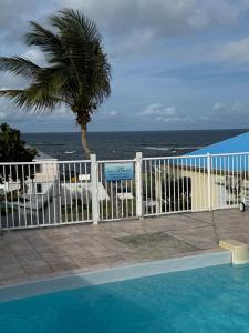 a pool with a palm tree and the ocean at Villa JAUNE in Oyster Pond