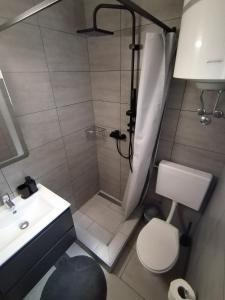 a bathroom with a shower and a toilet and a sink at Holiday home I.D.A. in Banjole +43 photos