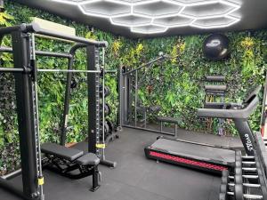 a gym with a green wall with tread machines at Pousada Villa Canaã in Búzios