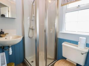 a bathroom with a shower and a toilet and a sink at Seaward in Norwich +18 photos