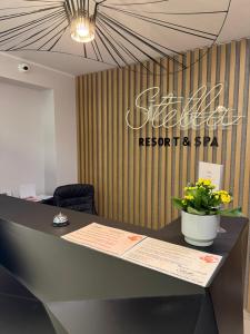 a desk with a potted plant on it in an office at STELLA Resort & SPA in Władysławowo +68 photos