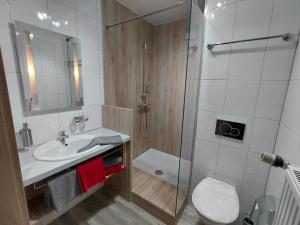 a bathroom with a shower and a sink and a toilet at Pension Karin in Breitengüßbach +7 photos