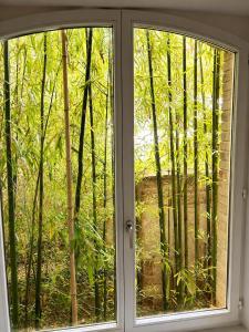a window with a view of a forest of bamboo at Au Bon Gîte in Senones