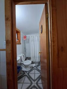 a bathroom with a toilet and a sink at Refugio entre Coihues in Melipeuco +18 photos