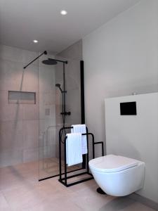 a bathroom with a glass shower and a toilet at Stryn Panorama in Stryn