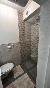 a bathroom with a toilet and a shower at DIV Apartman in Vrnjci +19 photos