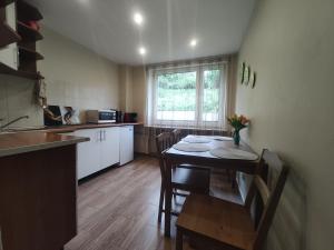 a kitchen with a table and chairs in a room at Mieszkanie Solina in Solina