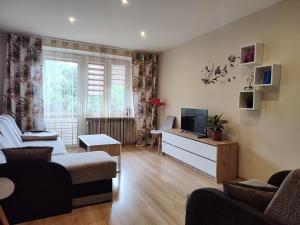 a living room with a couch and a tv at Mieszkanie Solina in Solina