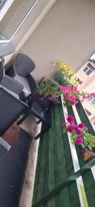 a patio with two chairs and flowers on the floor at Näkmani 3 in Kõrgessaare