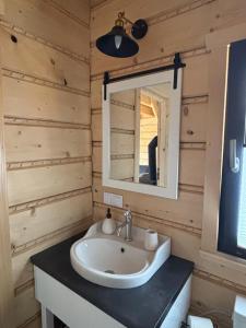 a bathroom with a sink and a mirror at Chata u Drwala Święta Lipka in Święta Lipka +18 photos