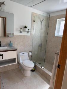 a bathroom with a shower and a toilet and a sink at Cadaques Caribe Bayahibe Palmera in Bayahibe +26 photos